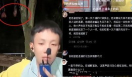 小鬼直播间爆料事件视频,揭秘背后真相与争议