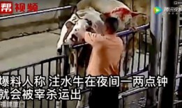 黑马情侣被爆料视频,甜蜜瞬间引网友热议