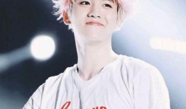 韩媒爆料边伯贤视频