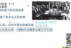 真实历史爆料视频大全最新