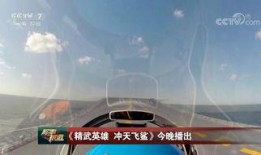 美国飞行员爆料视频下载,美国飞行员爆料视频内容大揭秘