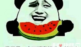 免费请你吃瓜是什么梗,免费吃瓜背后的网络梗文化解析