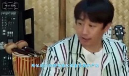 海清被黄磊爆料视频,娱乐圈友情与真相的碰撞