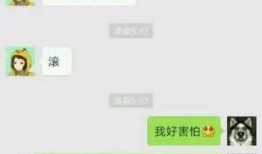 微信吃瓜聊天记录合集免费,揭秘娱乐圈幕后故事