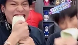 小胖爆料小杨哥视频全集,小杨哥视频全集大揭秘