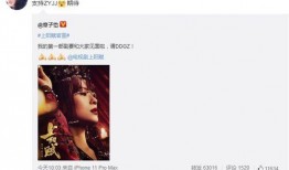 郑燕姿被爆料过吗视频,真相与争议