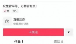 大曲线直播爆料最新消息,揭秘行业动态，洞察未来趋势