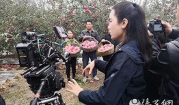 千钧一发记者爆料视频在线观看,记者揭秘视频在线观看