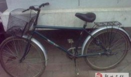 郑州自行车爆料视频最新,揭秘城市交通新现象