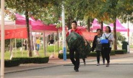 山东学校爆料新闻视频,揭秘校园内幕，真相令人震惊