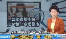 成都真实爆料新闻事件视频,XX事件视频曝光，揭秘背后真相