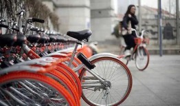 沈阳自行车爆料事件视频,真相与争议交织的街头冲突