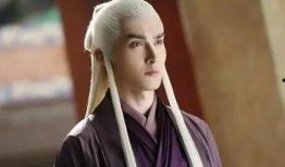 帝君爆料视频全集,揭秘幕后真相与精彩瞬间