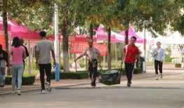 山东学校爆料新闻视频,揭秘校园内幕，真相令人震惊