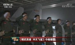 美国飞行员爆料视频下载,美国飞行员爆料视频内容大揭秘