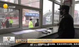 大连新闻爆料人是谁啊视频,视频背后的故事