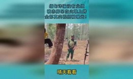 缅甸诈骗真实爆料视频大全,真实爆料视频大盘点