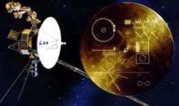 旅行者番外爆料视频大全,揭秘视频大全背后的精彩故事