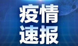 今日青岛爆料新闻最新,神秘事件引发全城热议