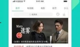 胜嫂的爆料视频大全下载,热点事件幕后真相大曝光