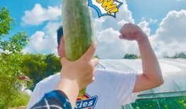 网红青蛙人吃瓜,揭秘网红美食背后的故事