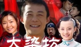 电视剧大染坊全集在线观看,揭秘民国风云，再现民族工业传奇