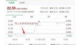 东港股份最新爆料消息,揭秘企业转型新动向与市场布局策略