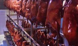 黄巷烤鸭店爆料视频大全,视频大全揭秘美食背后的故事