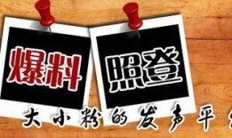 厦门新闻爆料平台,最新动态一网打尽，揭秘城市热点事件