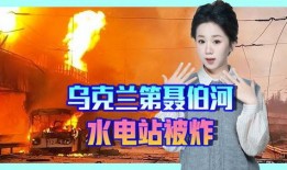 无罪谋杀蒋雨 大爆料视频,大爆料视频背后的惊人真相