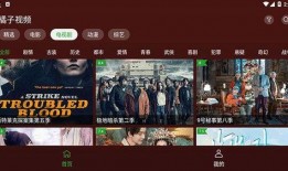 节目八卦爆料视频大全下载,八卦爆料视频大全下载，明星幕后故事大公开