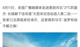 河北新闻广播爆料,揭秘重大事件背后真相