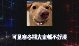 吃瓜 娱乐八卦图,吃瓜图背后的娱乐八卦风云