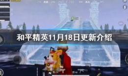 11月和平精英爆料最新,神秘新内容即将揭晓，敬请期待！