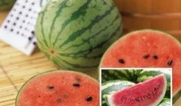 千万网红动感吃瓜图片,动感瞬间引爆千万网友眼球