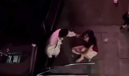 女子打架爆料视频播放大全,一幕幕激烈冲突瞬间回顾