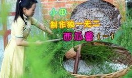 娱乐吃瓜酱阳光,揭秘娱乐圈的甜蜜与阳光