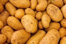 土豆最新爆料配方大全,揭秘最新爆料配方大全