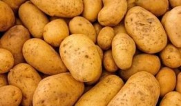 土豆最新爆料配方大全,揭秘最新爆料配方大全