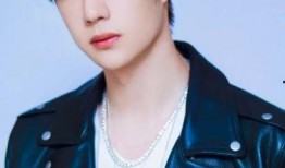 爆料王一博最新消息,揭秘最新爆料背后的精彩故事