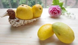 梨梨吃瓜免费阅读,揭秘娱乐圈背后的故事