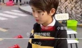 童模基地爆料视频,揭开童模行业背后的真相