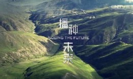 青山湖爆料死者事件视频,死者事件视频引发社会关注