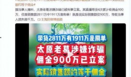 爆料网红打假视频大全集,视频大全集深度解析
