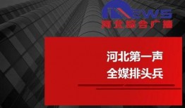 河北新闻广播爆料,揭秘重大事件背后真相