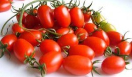 吃瓜网红王大炮,吃瓜网红的麻辣点评与娱乐圈风云