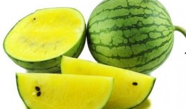 千万网红动感吃瓜图片,动感瞬间引爆千万网友眼球