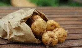 土豆最新爆料配方大全,揭秘最新爆料配方大全