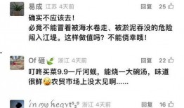钱江最新爆料新闻事件视频,揭秘事件背后惊人真相