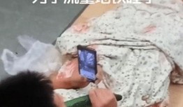 吃瓜关灯睡觉网红,揭秘网络红人的神秘生活